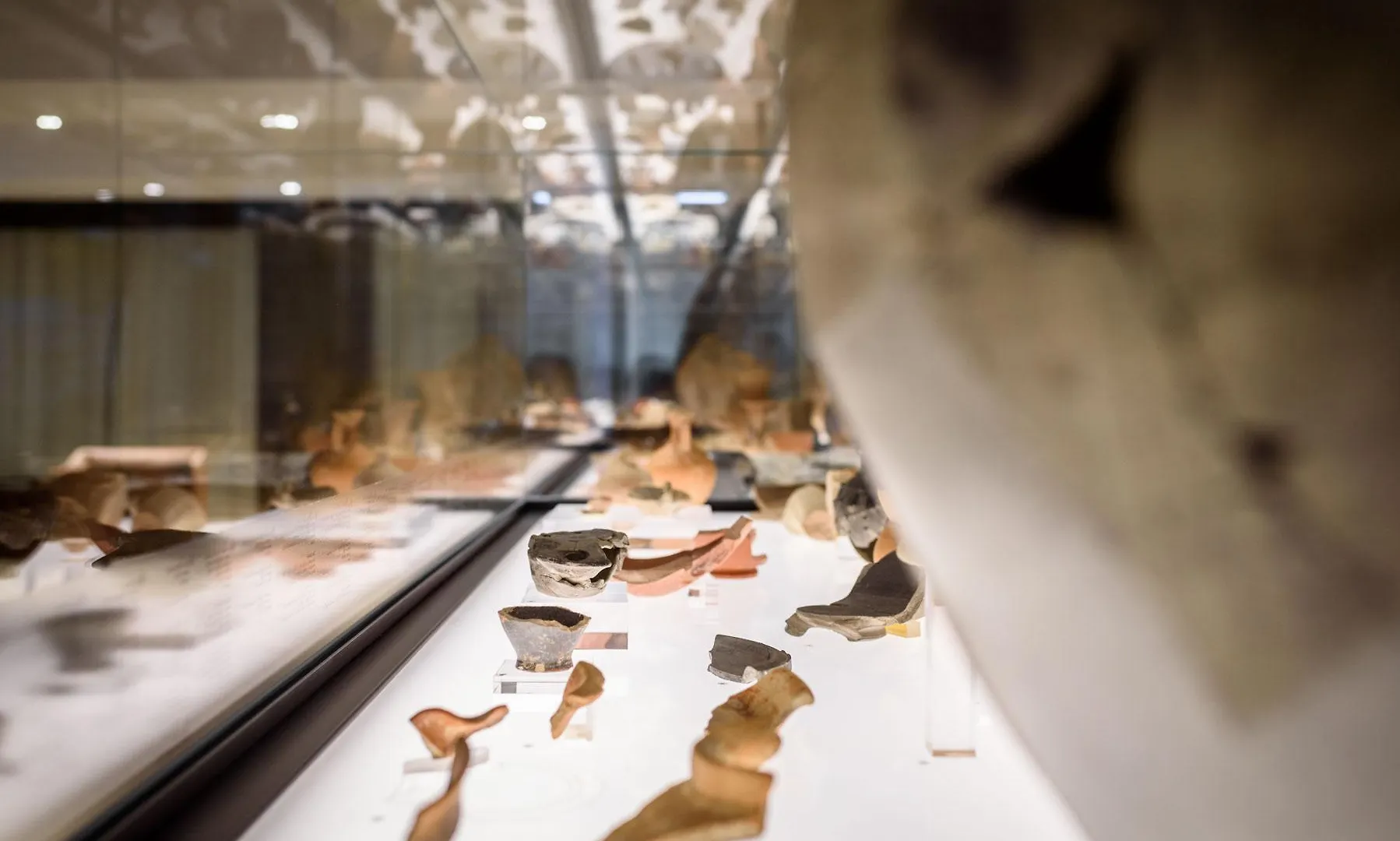 Aurea Museum By Eurostars Hotel Company Lisboa